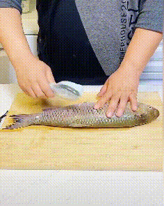 Fish Scale Scraper Peeleer
