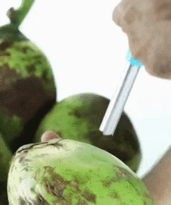 Coconut Opener Tool with Grip Handle