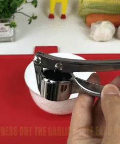 Steel Garlic Ginger Press with Handle